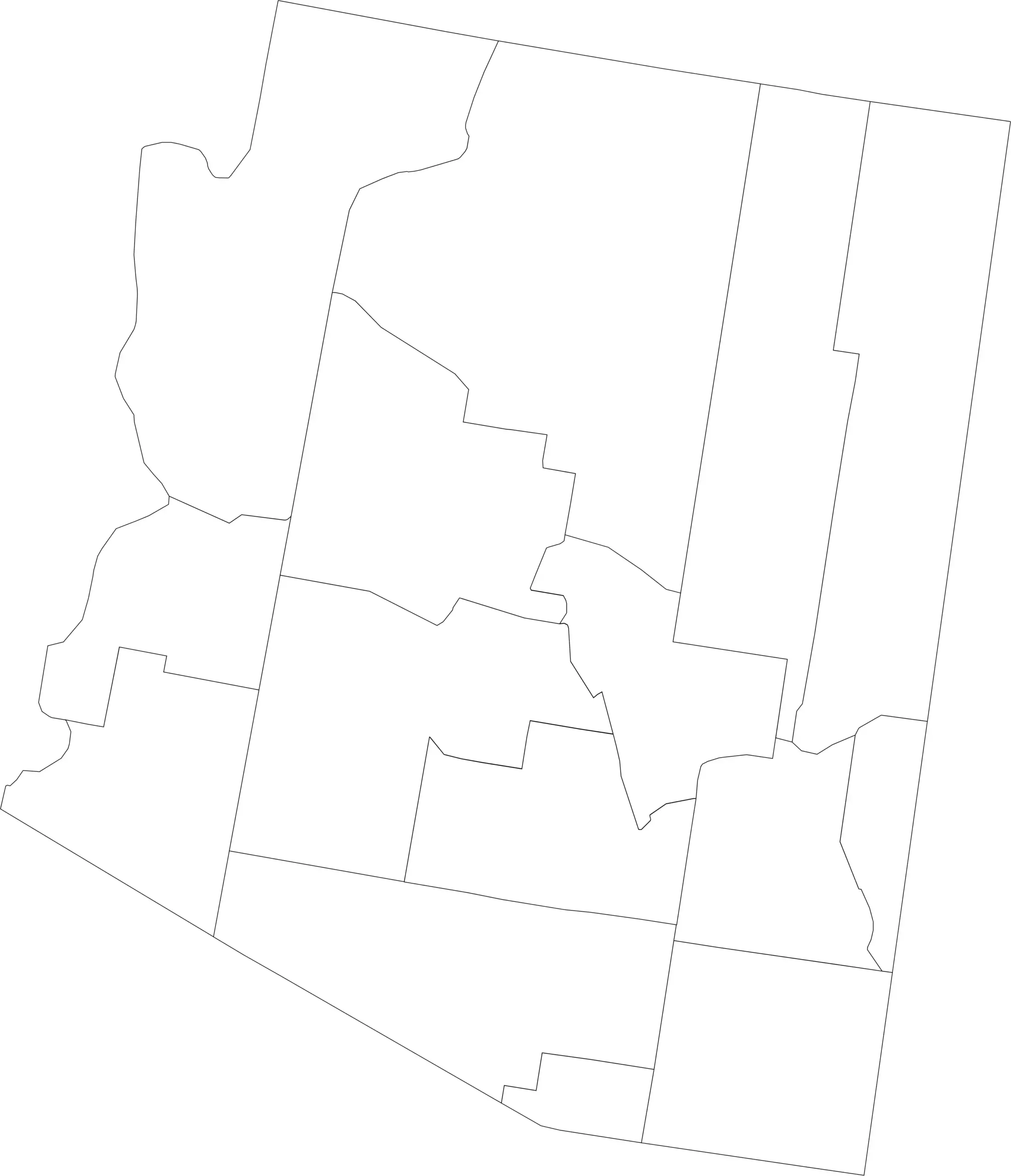 Arizona county map blank